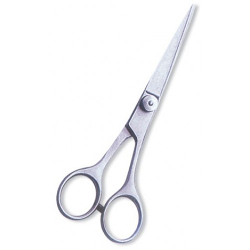 Professional Hair Cutting Scissor with razor edge. Satin Finish.